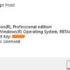 Windows 10 Pro Genuine Retail/OEM Channel License Key